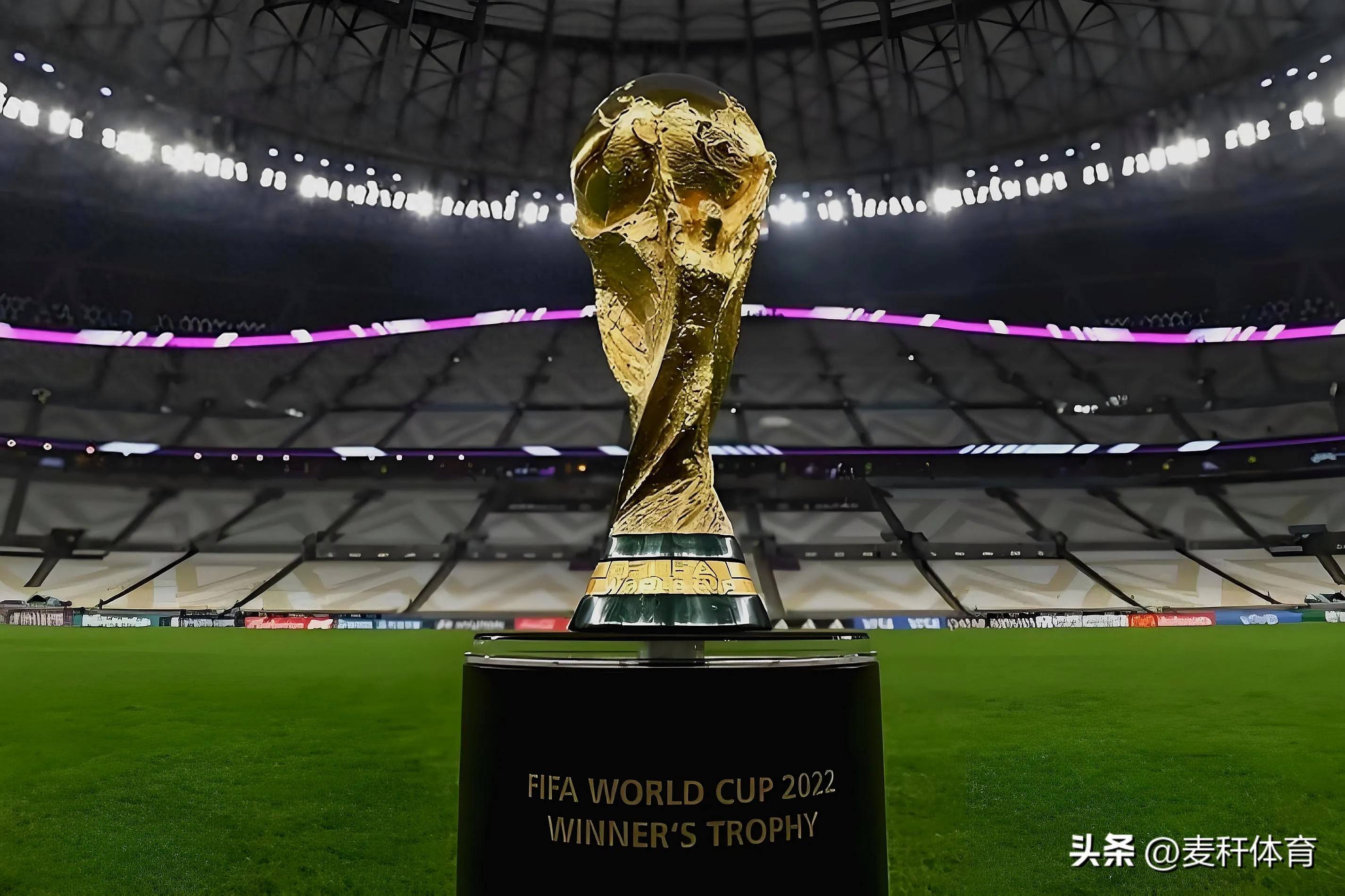 他们可能成 他们可能成