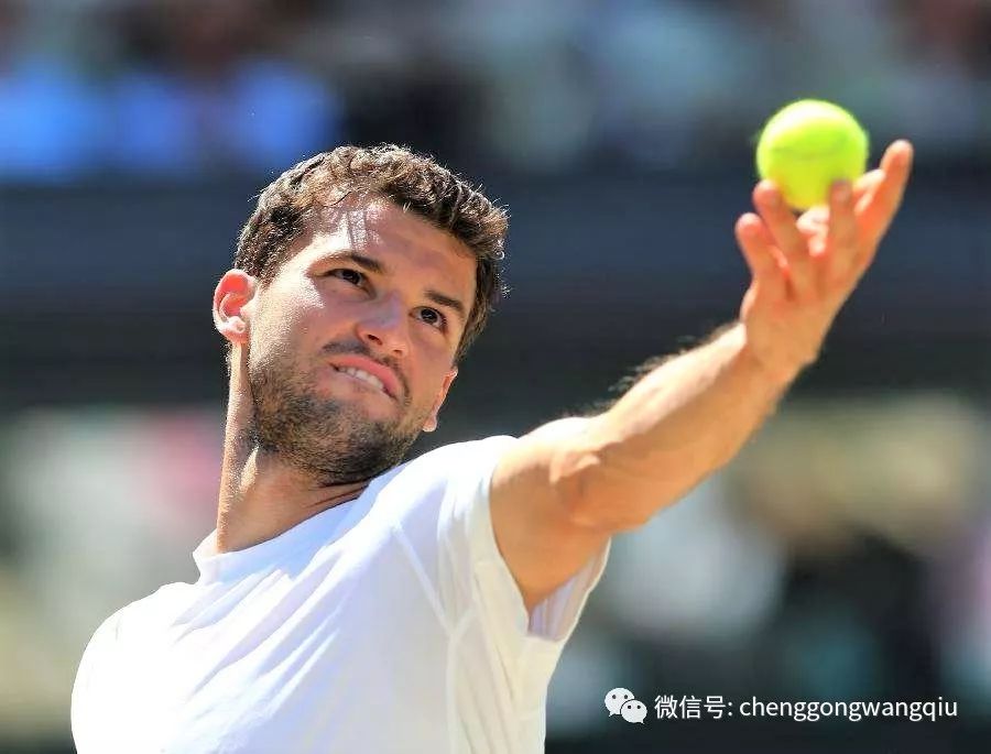 不仅意味着 不仅意味着