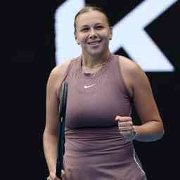 不占多数 不占多数