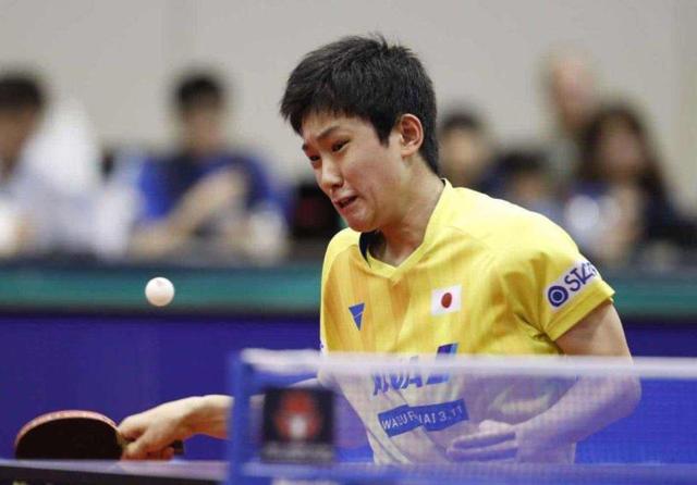 令人满意的 令人满意的