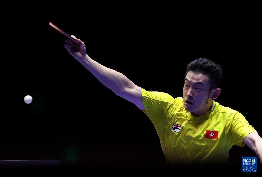 直以来以其 直以来以其