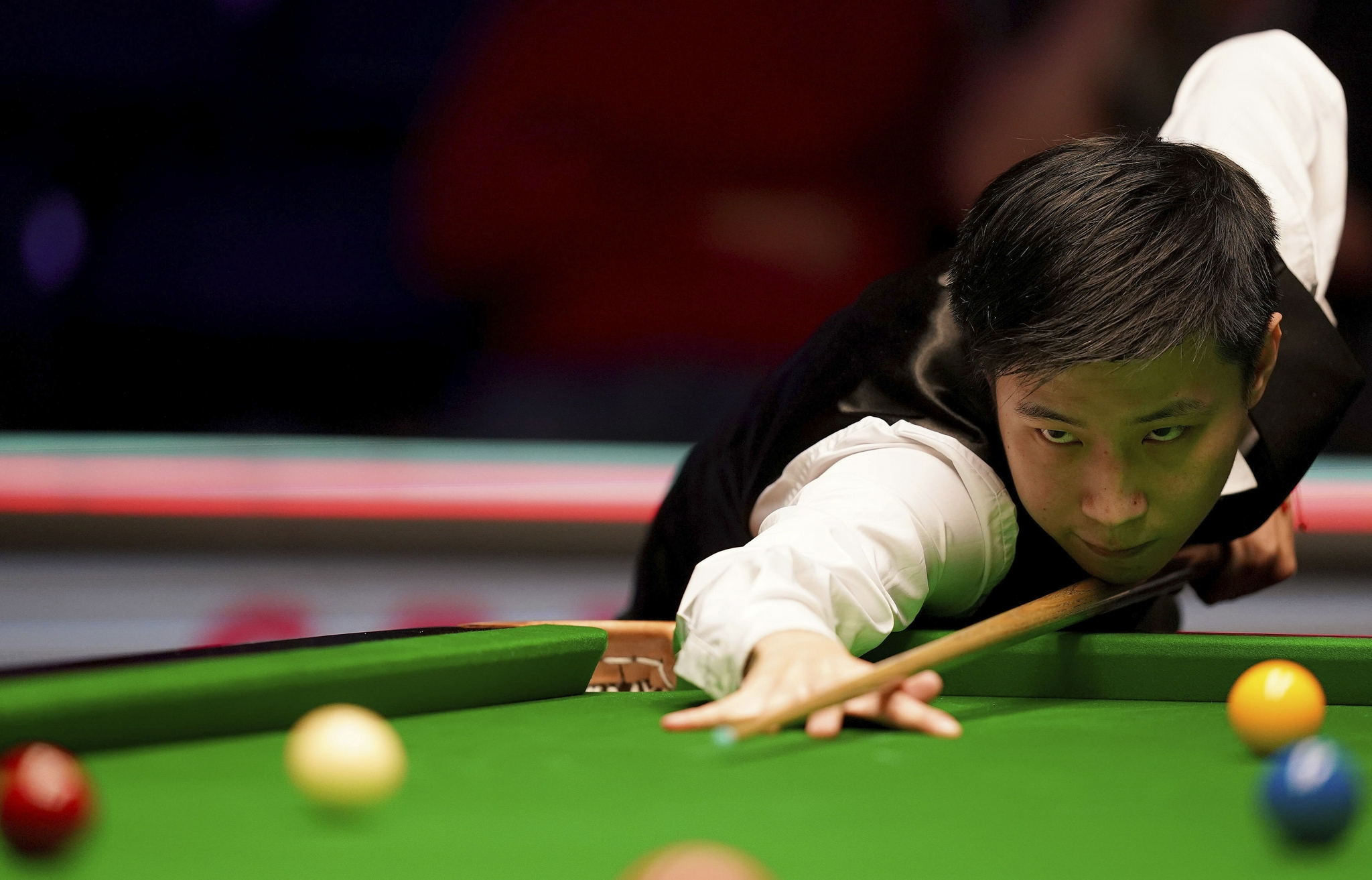 他们倾向于 他们倾向于