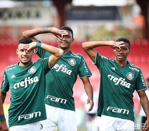 他们不仅在 他们不仅在